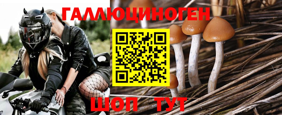 Псилоцибиновые грибы мухоморы  Вход с VPN  Алексин 